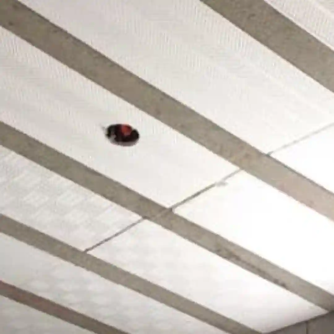 Laje de Isopor (EPS)